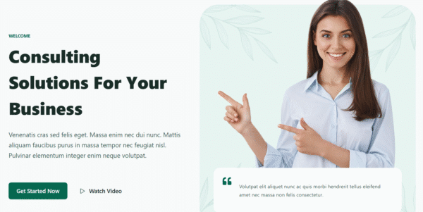 Consultant Website